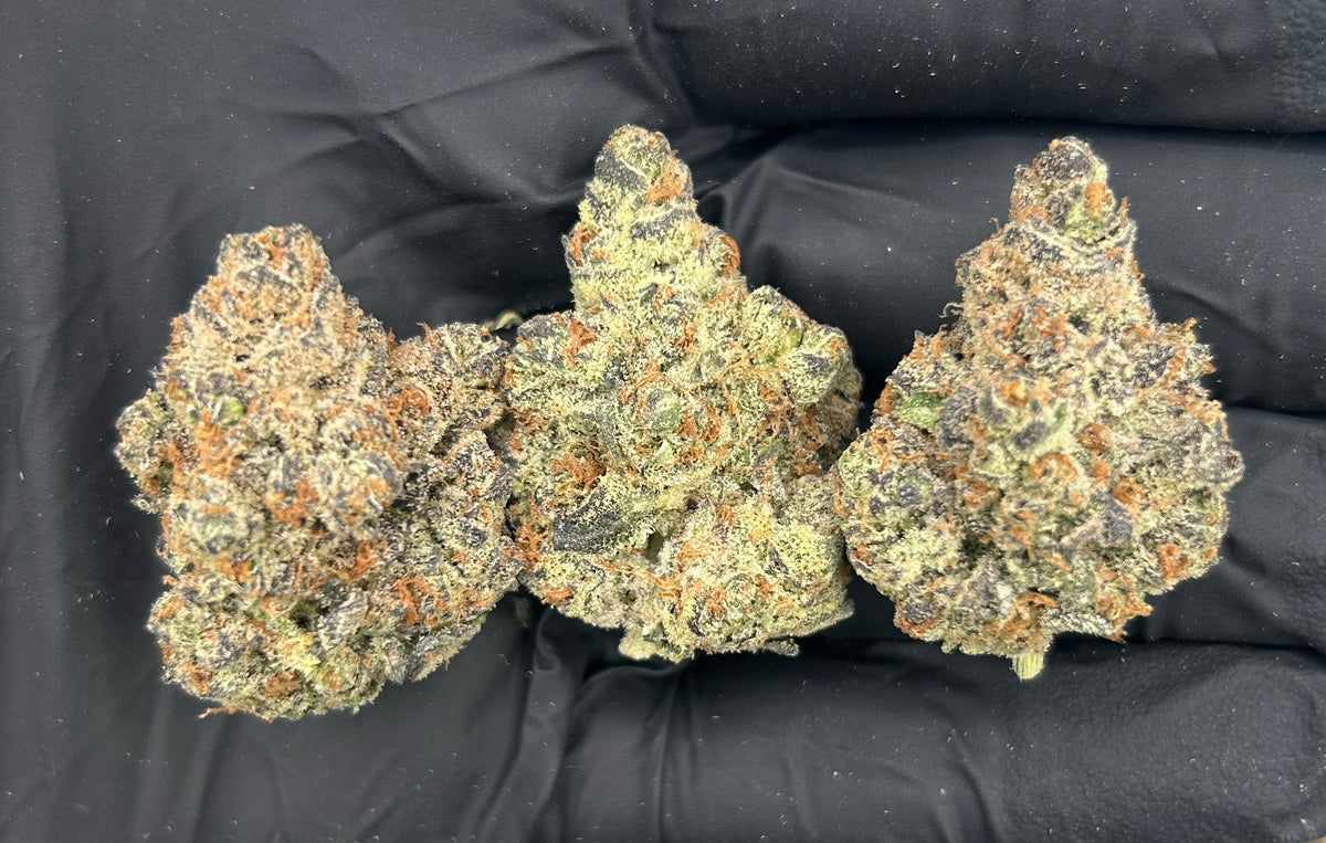 Pure Michigan (Indoor Plus) flower photo