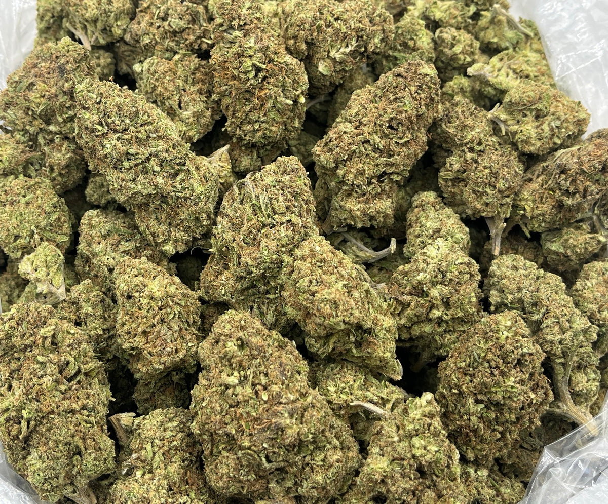 Super Lemon Haze bag photo