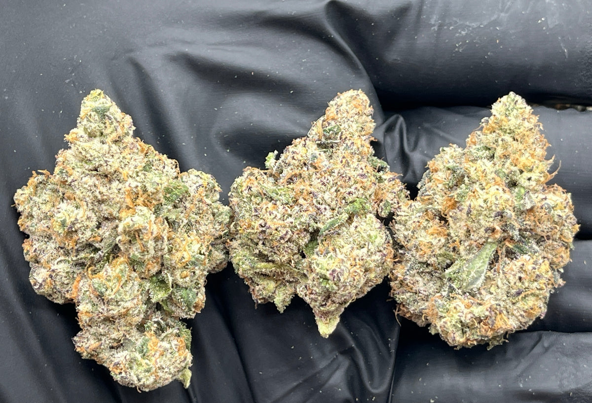 French Budder (Exotic Bigs) flower photo