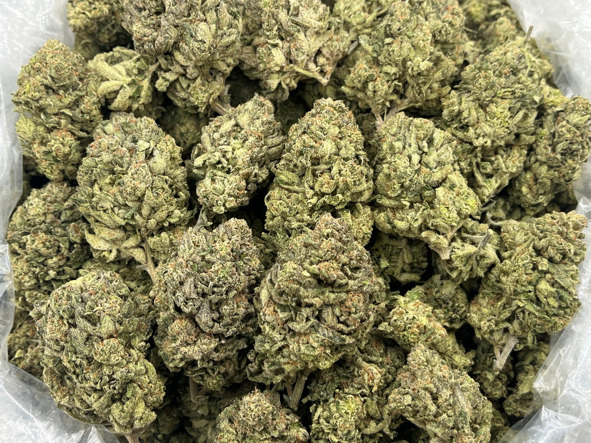 LCG-BX1 (Deps) bag photo