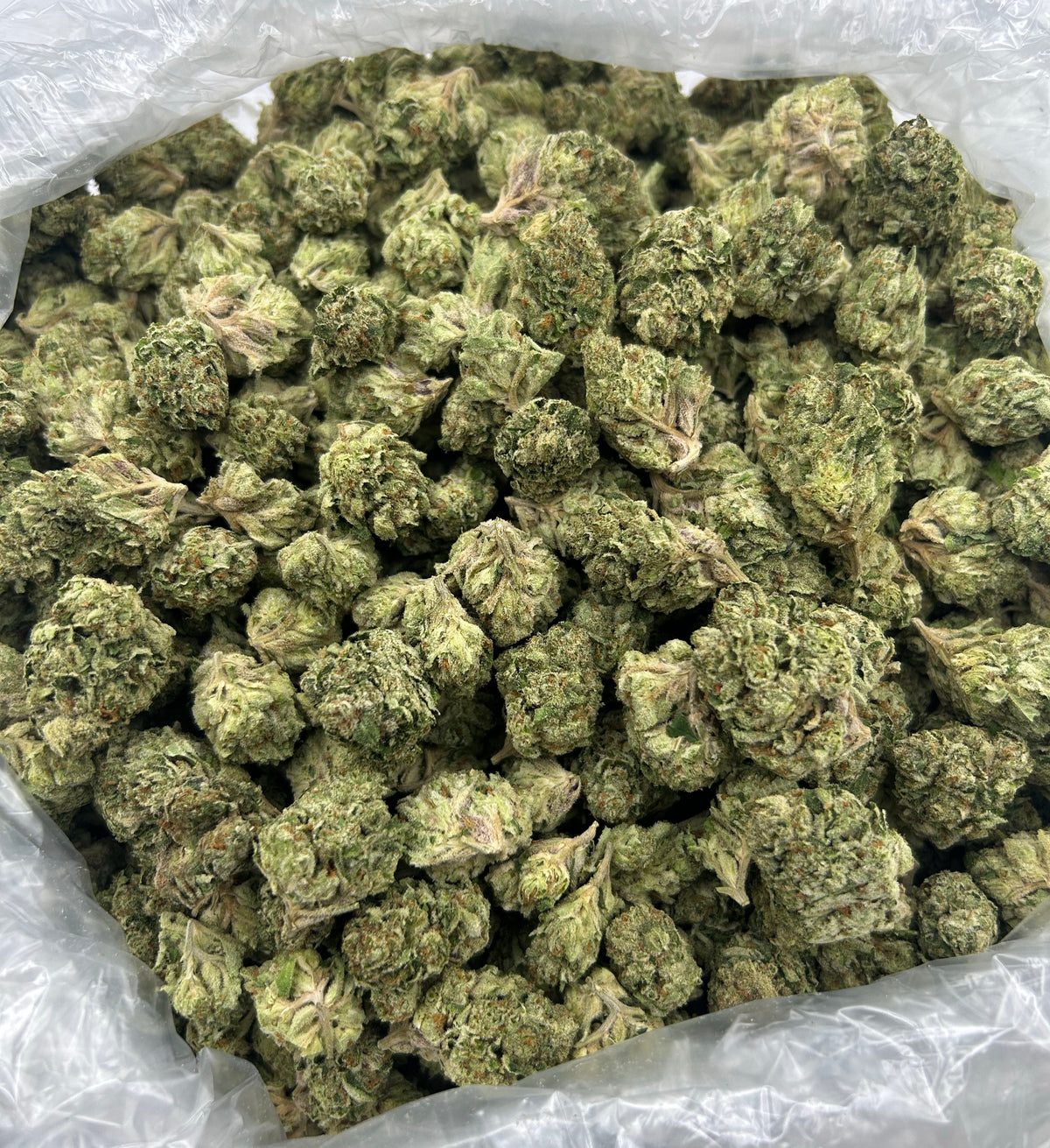 Cherry Cheesecake (Indoor) bag photo
