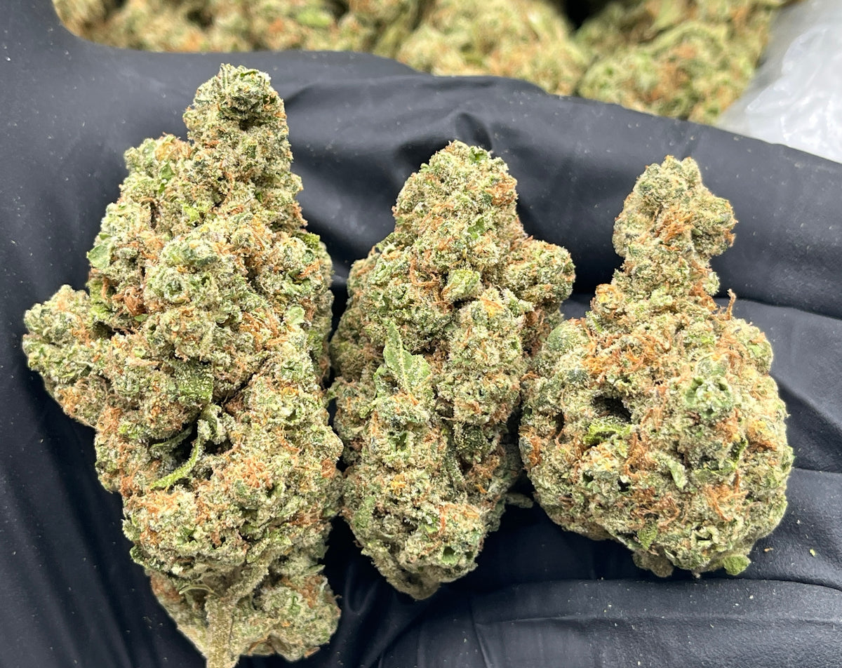 Banana Punch (Indoor) flower photo