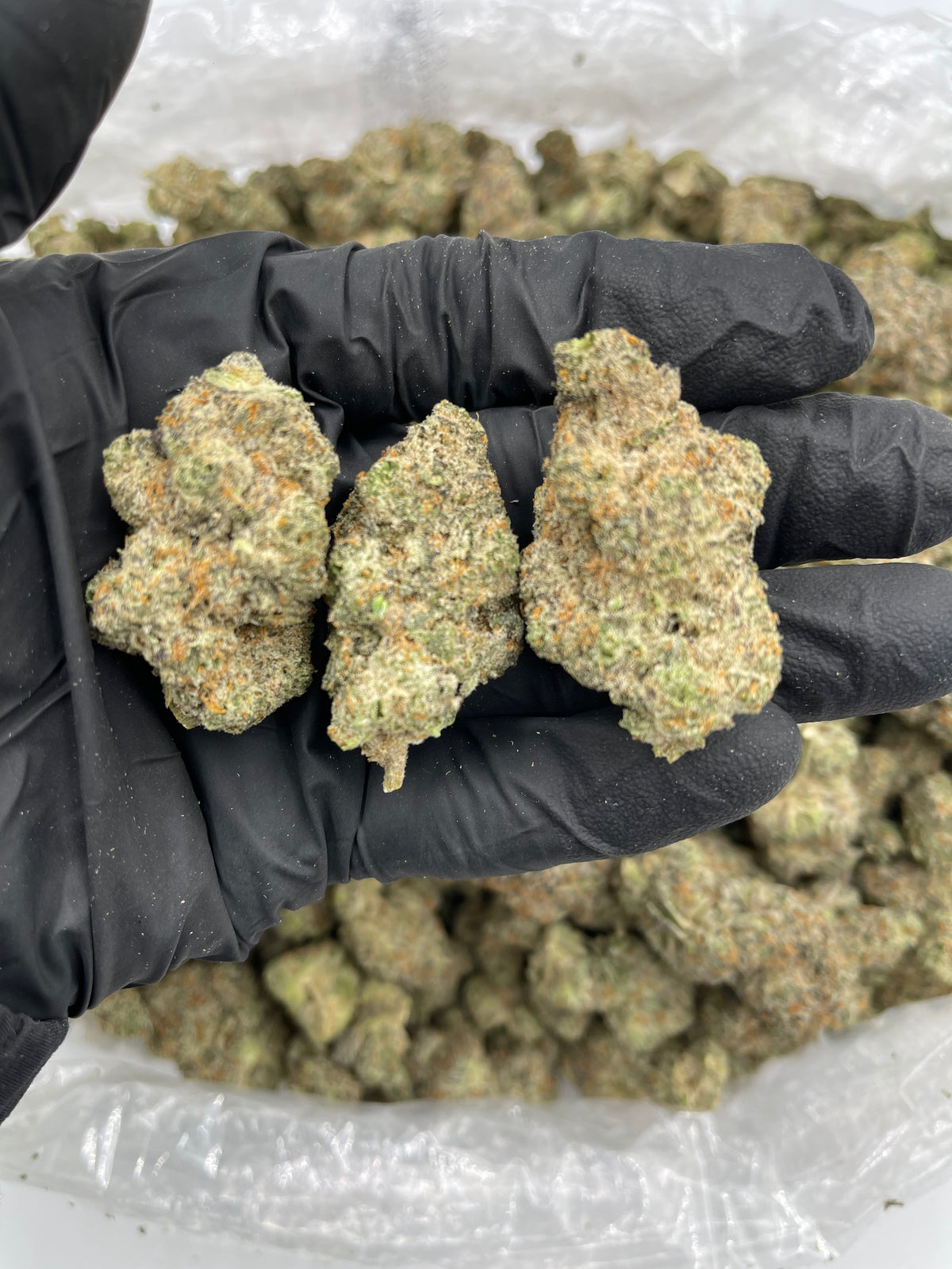 Double Stuff Oreoz flower photo