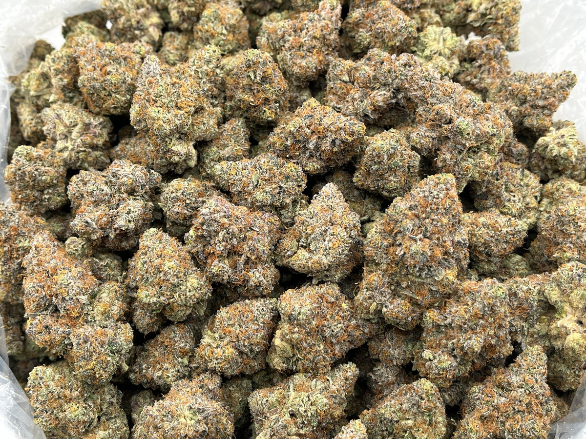 Zookies (Indoor Plus) bag