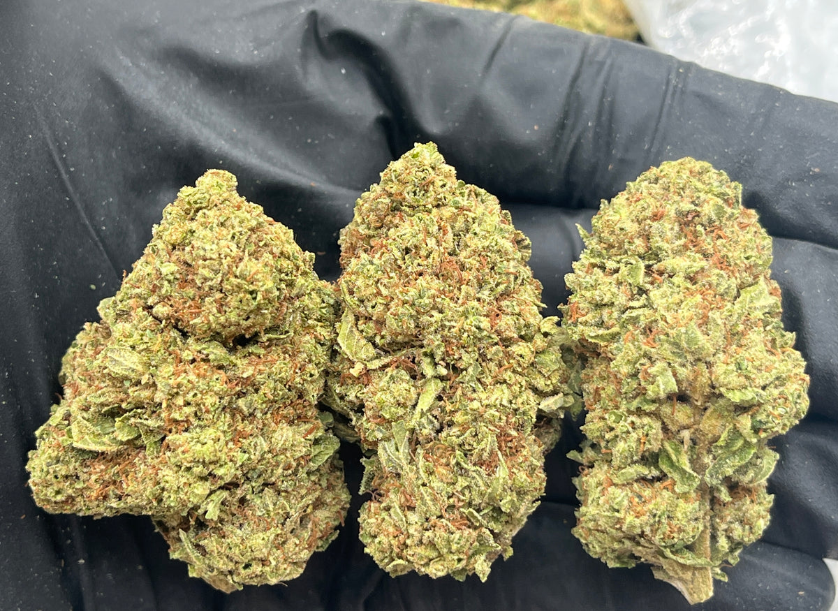 Gelato Cake (Deps) flower photo