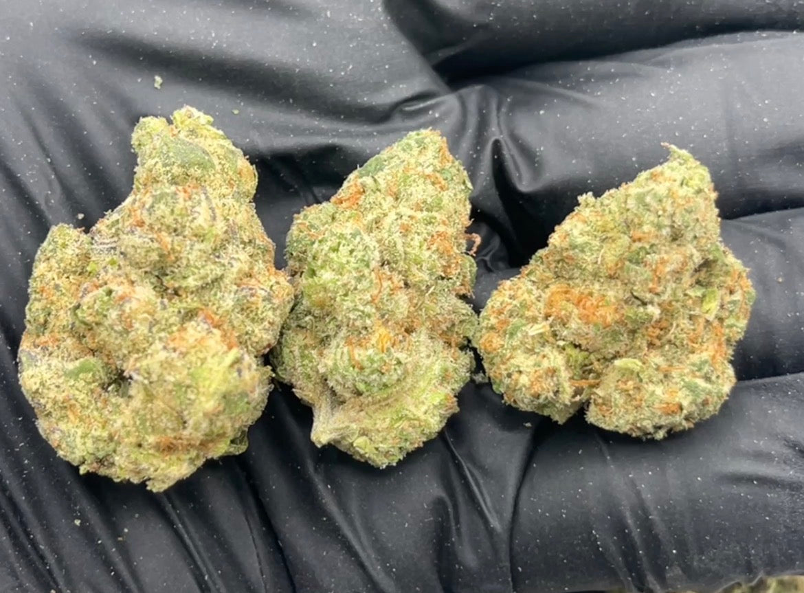 Godfather OG (Indoor Plus) flower photo