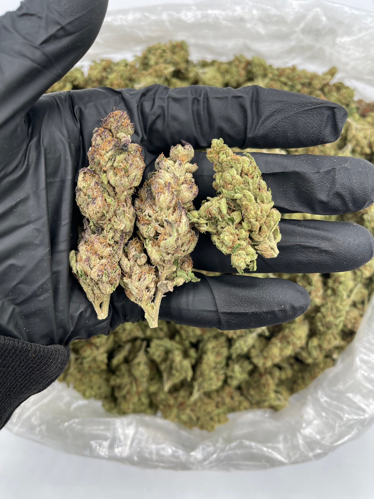 Sour Diesel (Deps Plus) flower photo