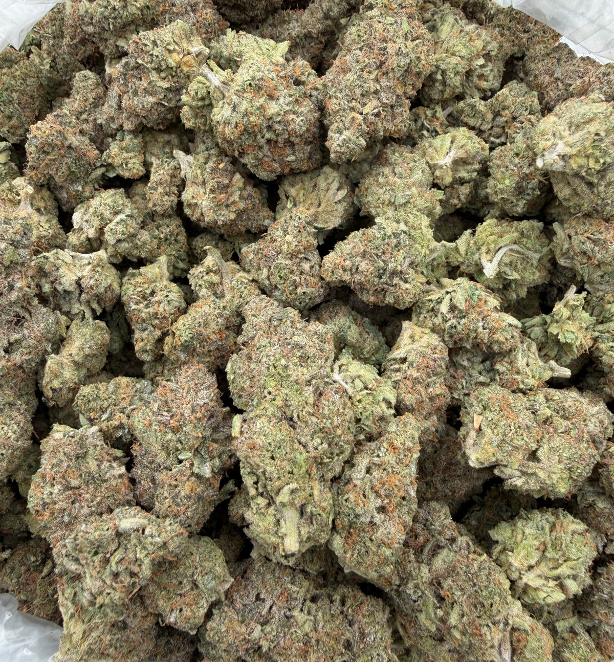 Frosted Runtz (Indoor Plus) bag photo