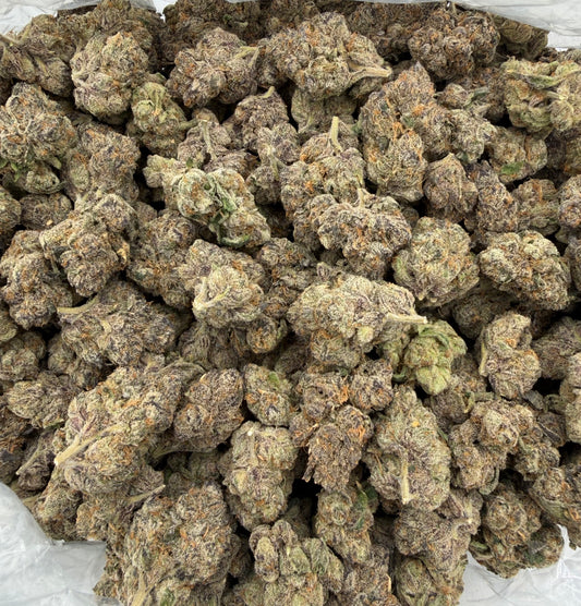 Blue Nerdz (Indoor Plus) bag