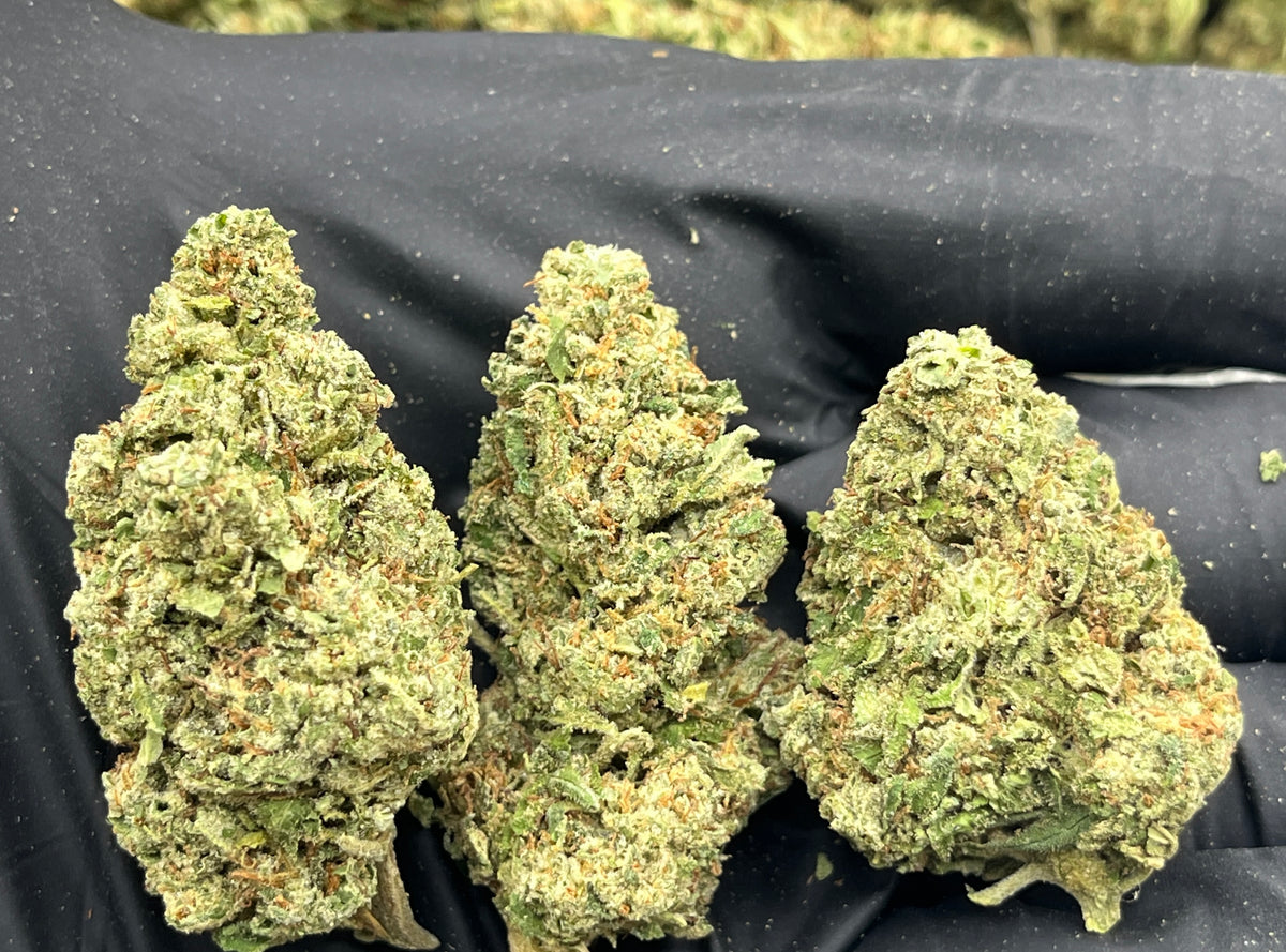 Air Heads (Deps) flower photo