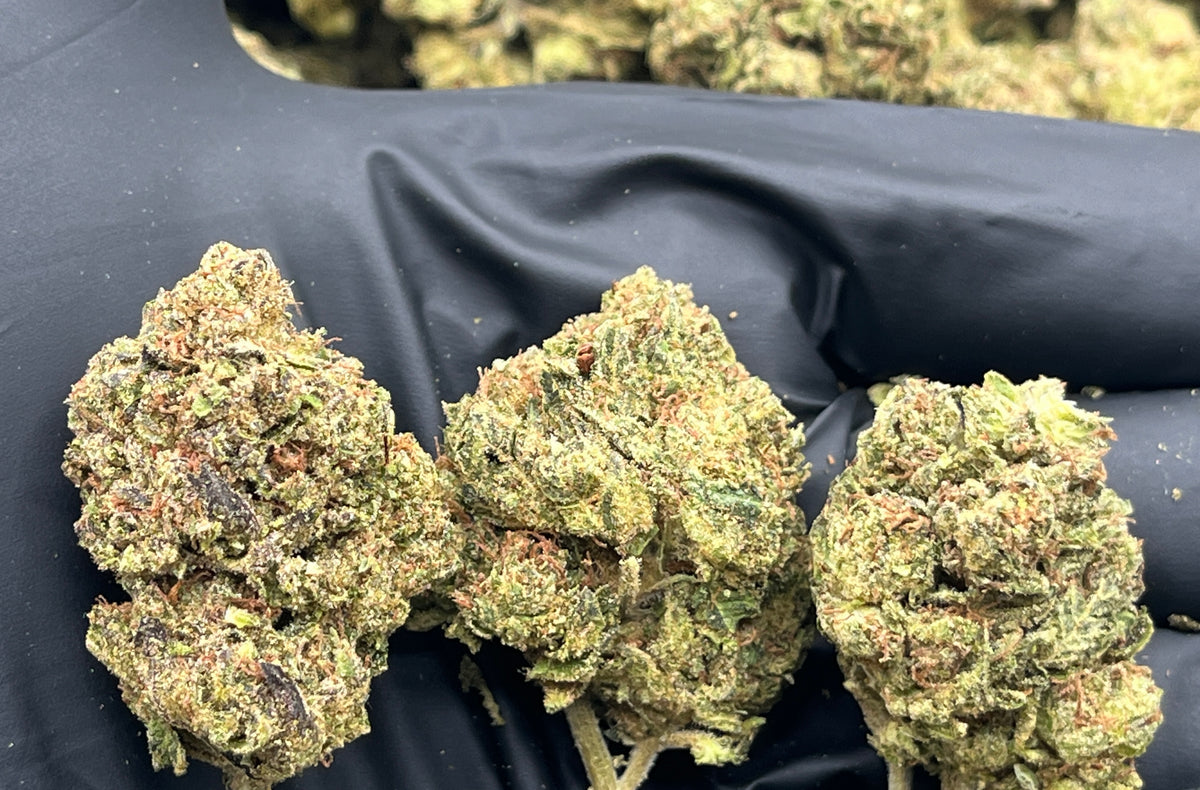 Black Cherry Runtz (Deps Plus) flower photo