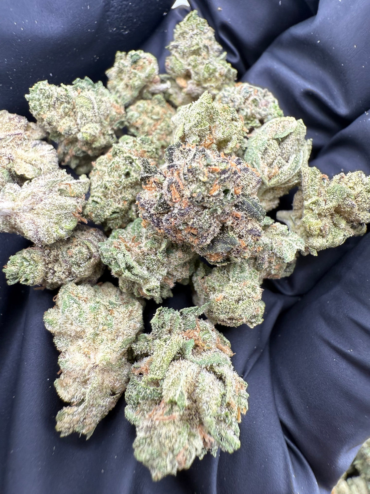 Pineapple Donut (Smalls) flower photo