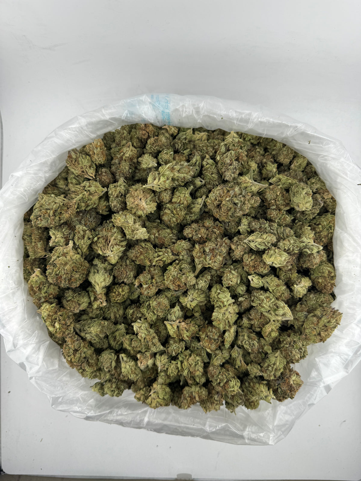 Zoap (Lows) bag photo