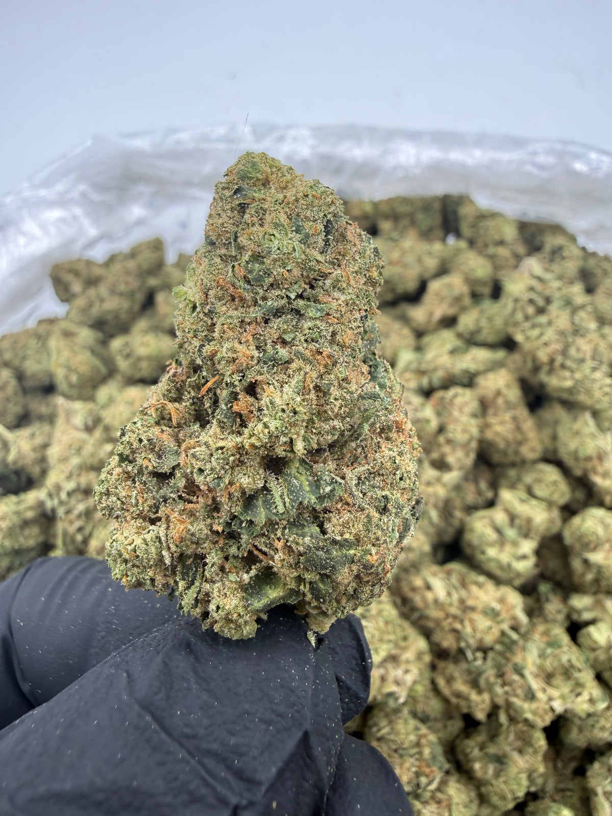 Thin Mintz (Deps) supplier nug photo