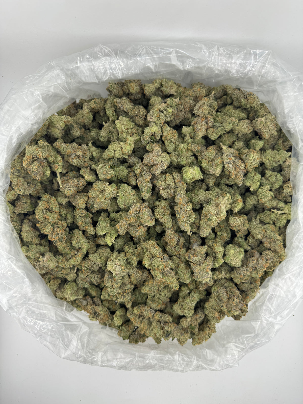GMO (Indoor Plus) bag photo