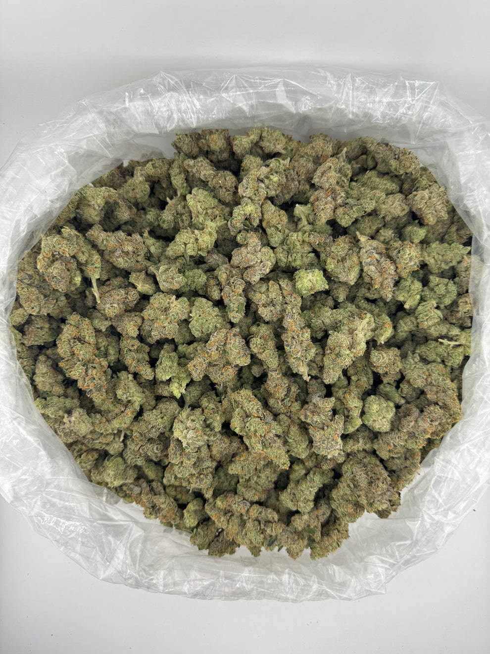 GMO (Indoor Plus) – Legally Numb