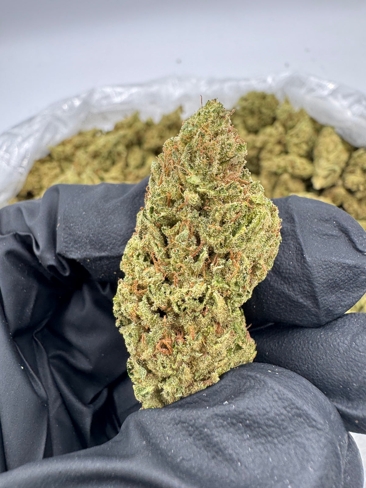 Lavender Jack (Deps) supplier nug photo