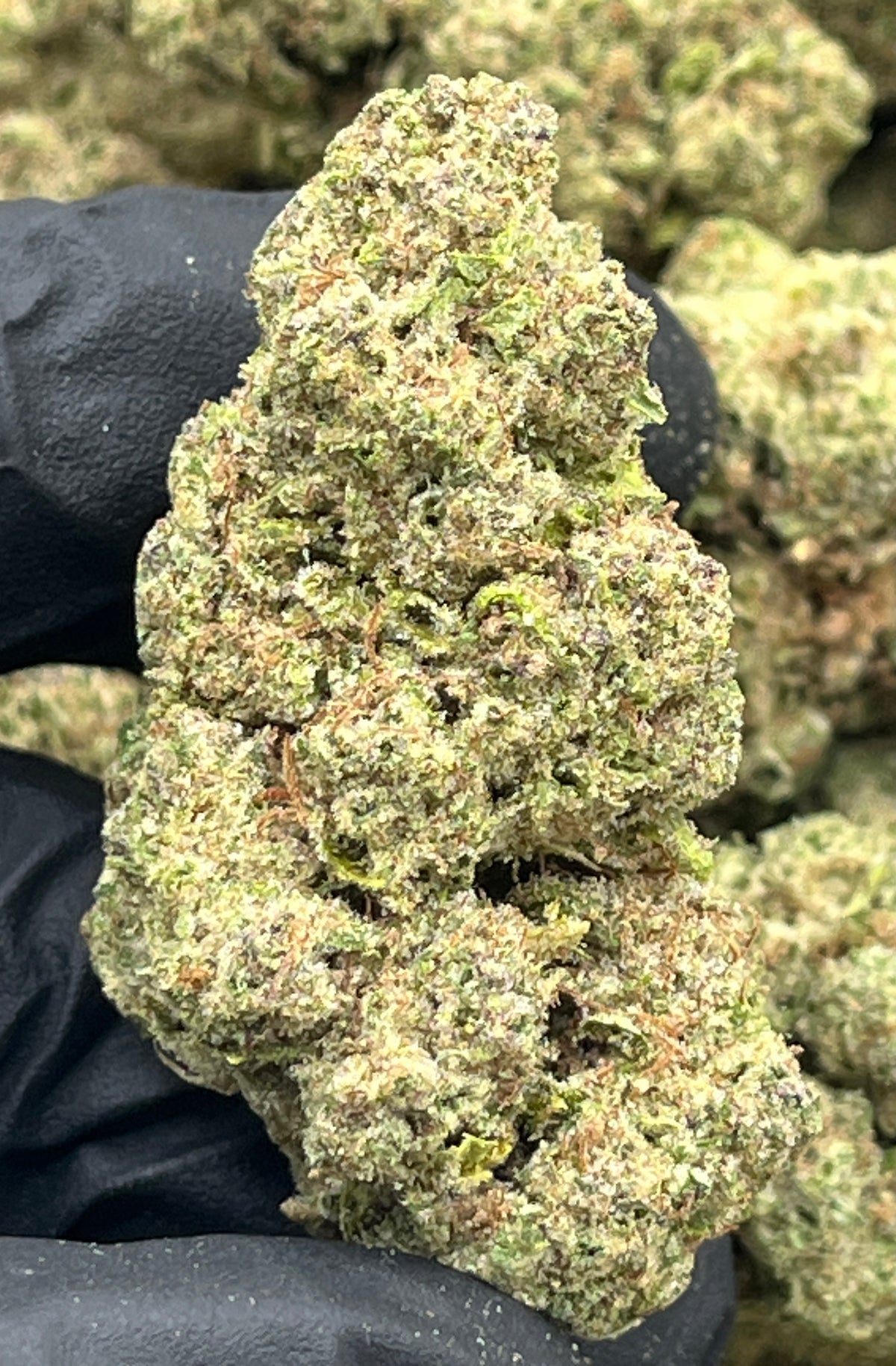 Superboof (Deps) supplier nug photo