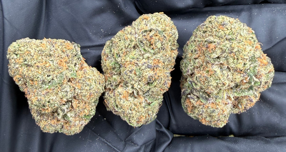 Ice Cream Cake (Indoor) flower photo