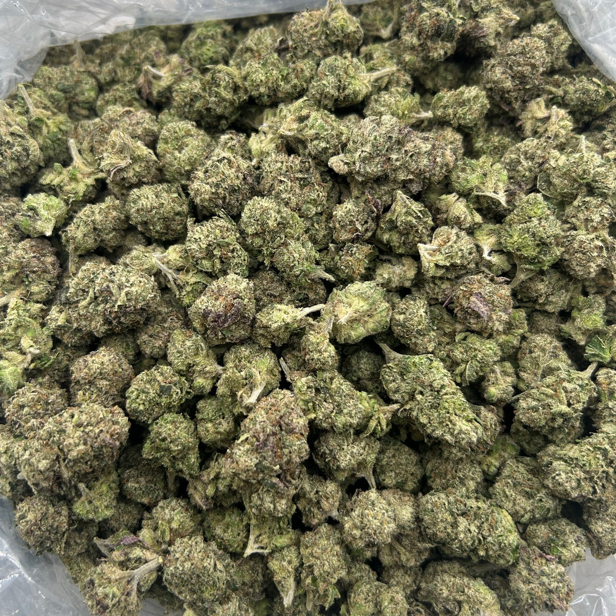 Super Runtz (Indoor Plus) bag photo