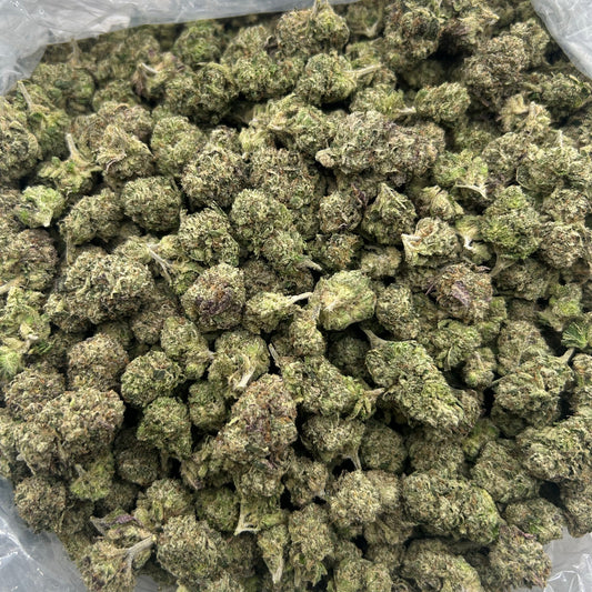 Super Runtz (Indoor Plus) bag photo