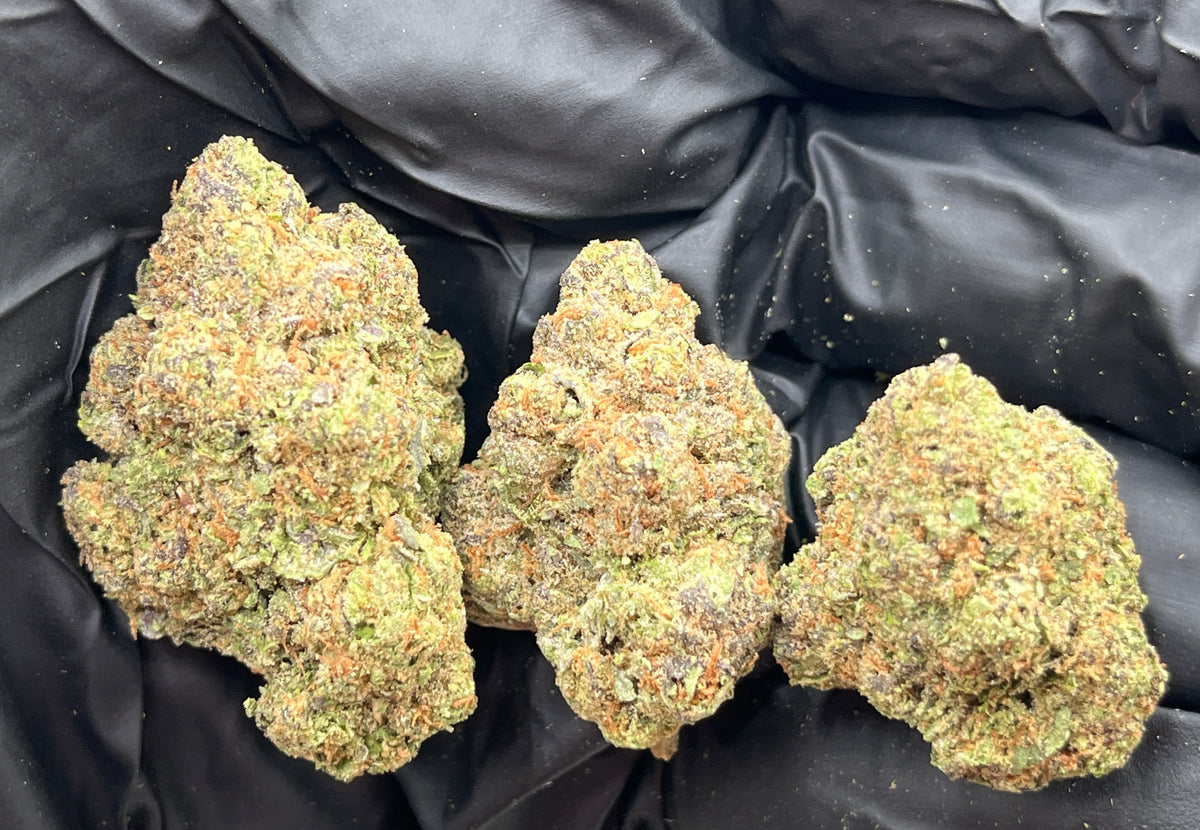 Candy X (Indoor) flower photo