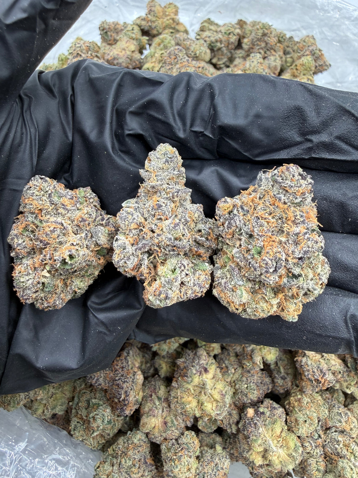 Blue Taffy nugs photo
