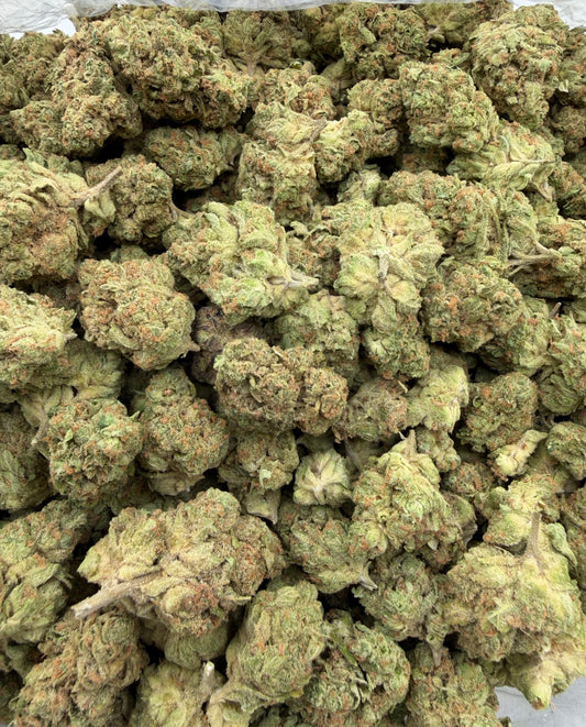 Apple Jacks (Indoor) bag photo