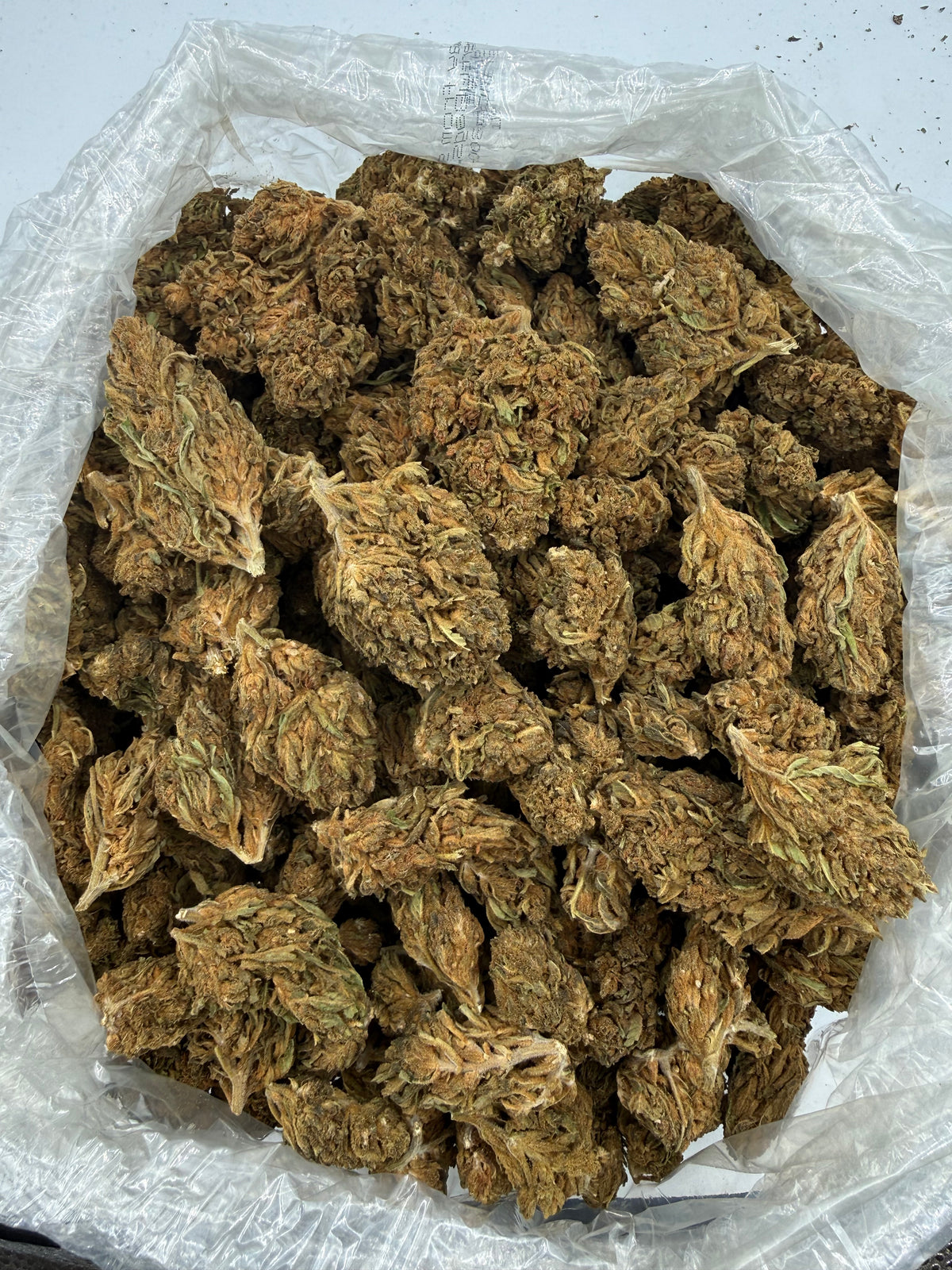 Frost (Lows) bag photo