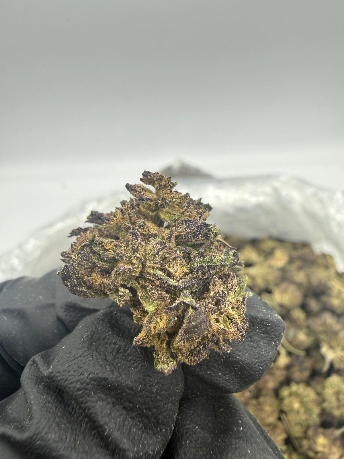 Blueberry Space Cake (Deps Smalls) supplier nug photo