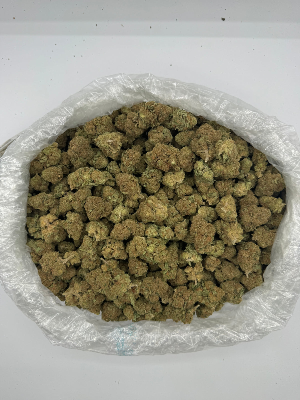 Violet Fog (Indoor) supplier bag photo