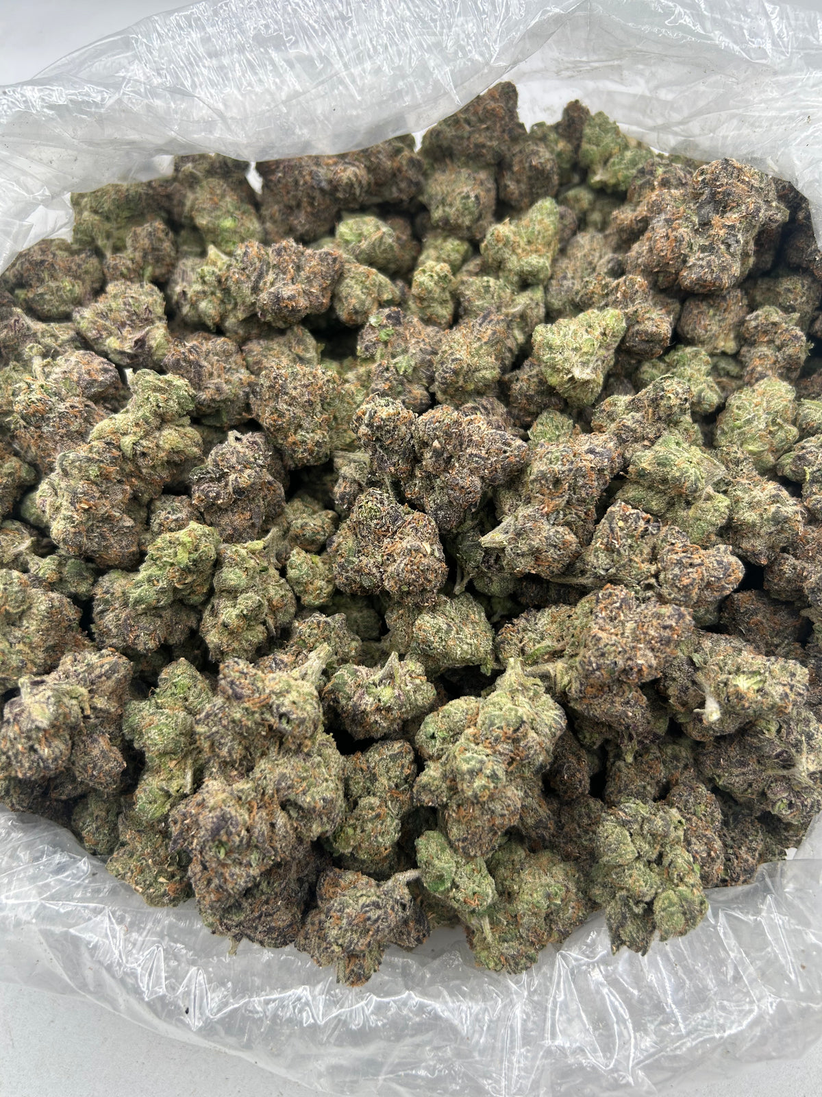 G33 (Indoor Plus) bag
