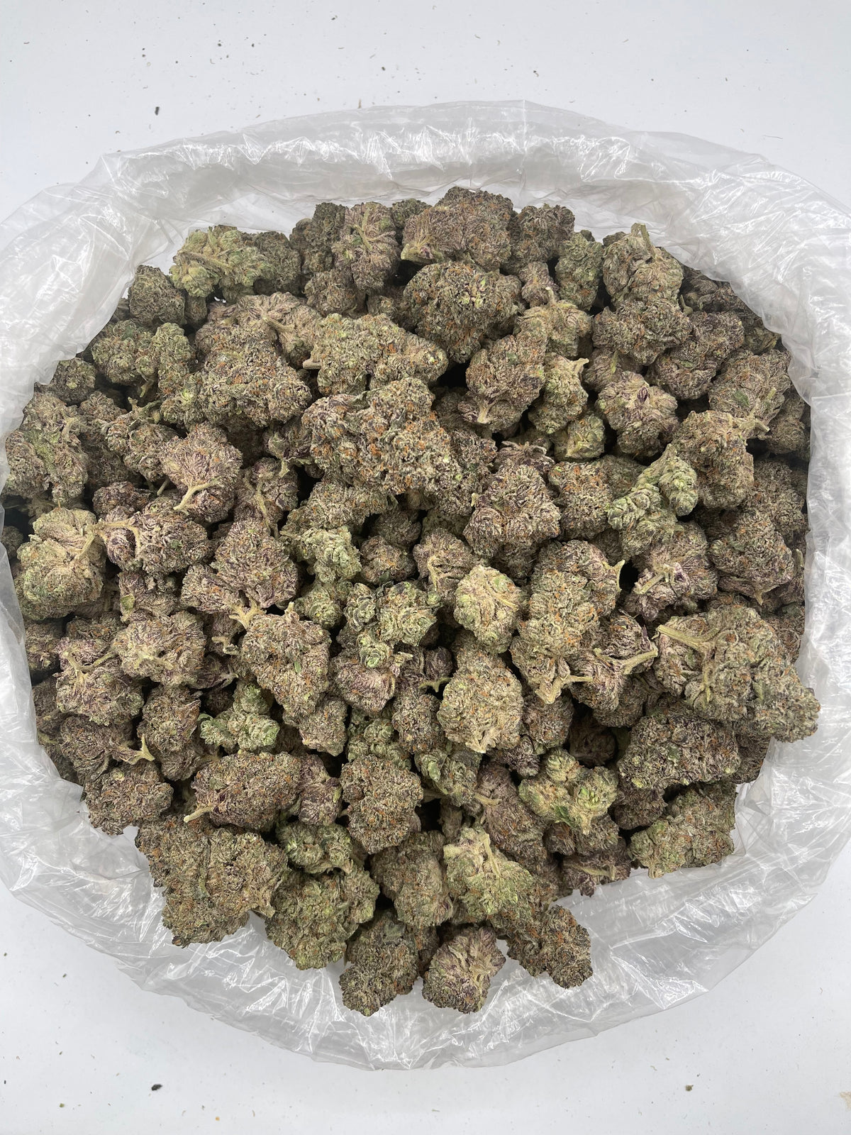 Temptation (Indoor) bag photo