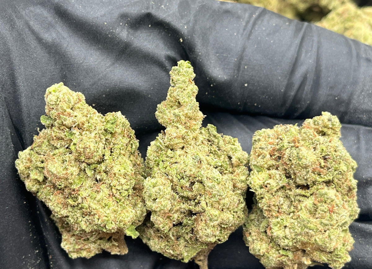 Zoo Dawg (Deps) flower photo
