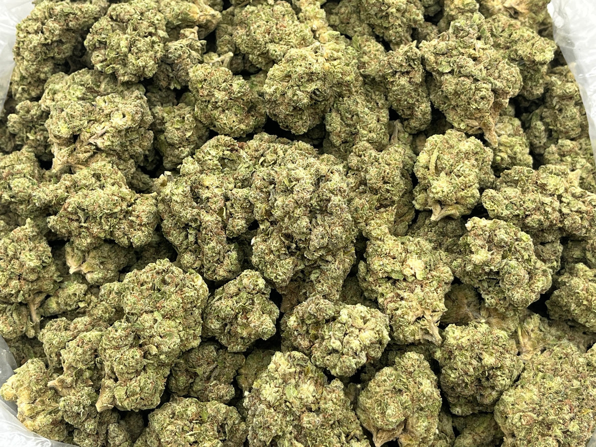 Zoo Dawg (Deps) bag photo
