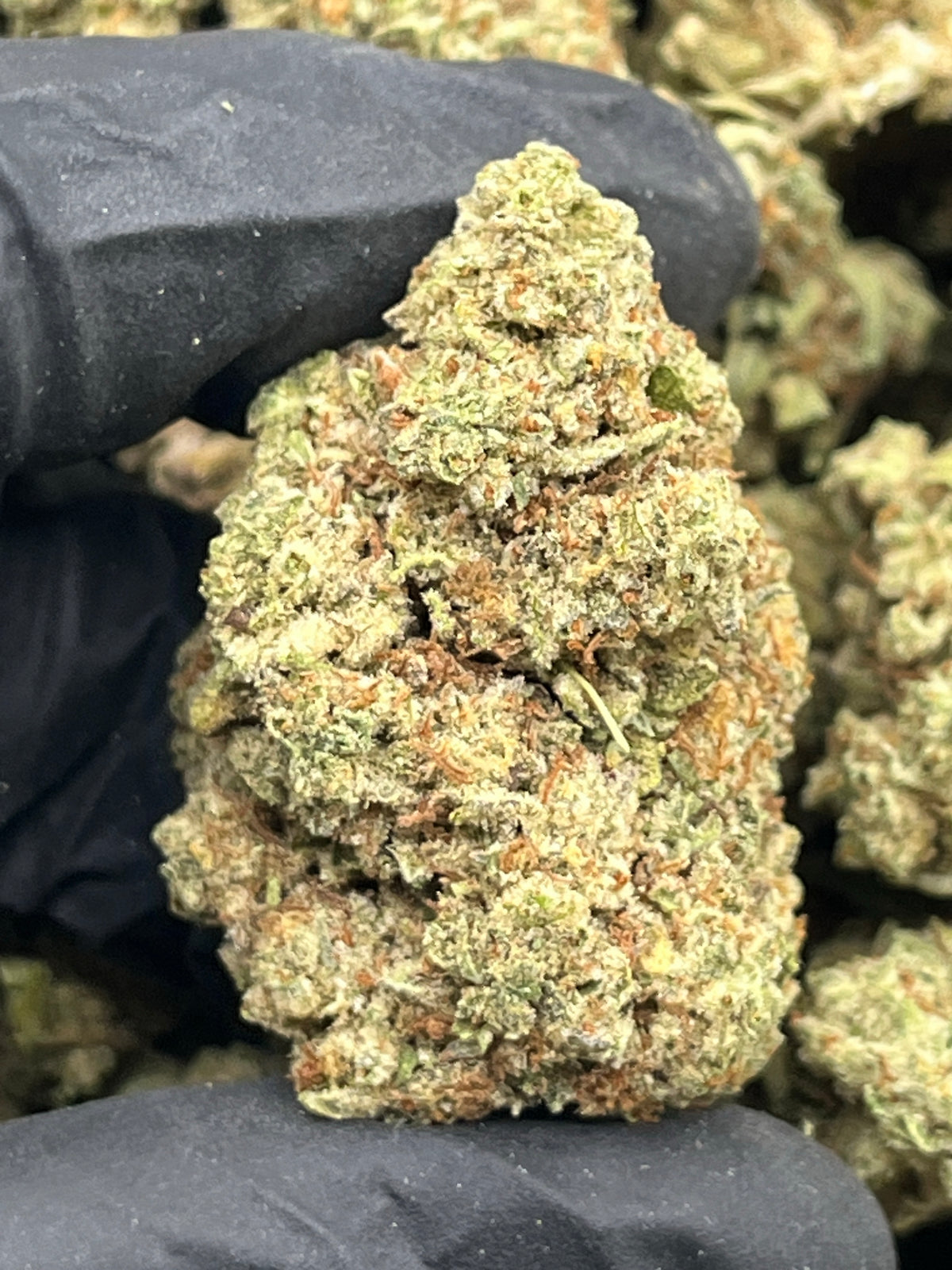 Sour Diesel (Lows) supplier nug photo