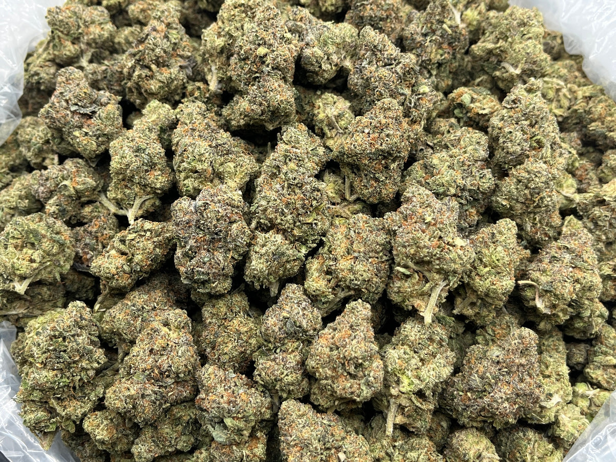 Crunch Berries (Indoor Plus) bag photo