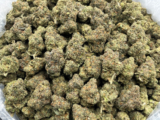 Crunch Berries (Indoor Plus) bag photo