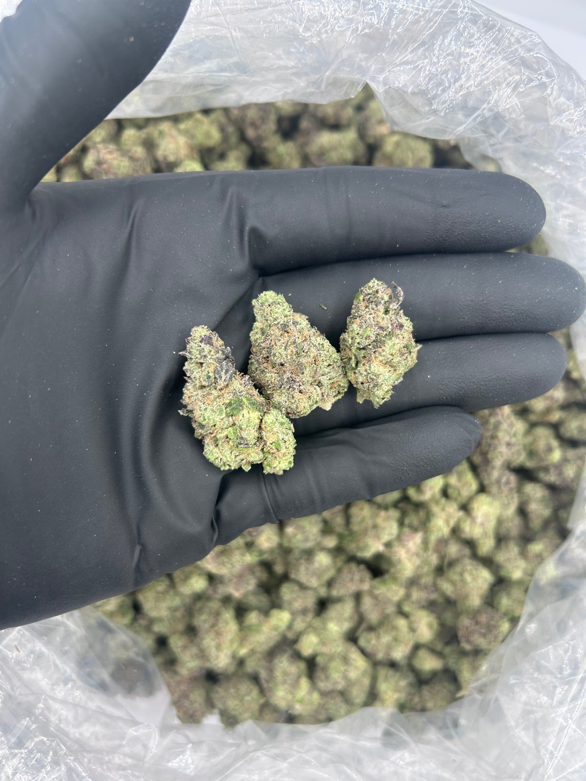 Hashburger (Smalls) flower photo