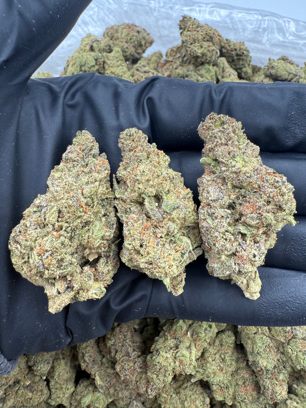 Breadstick OG (Deps) flower photo