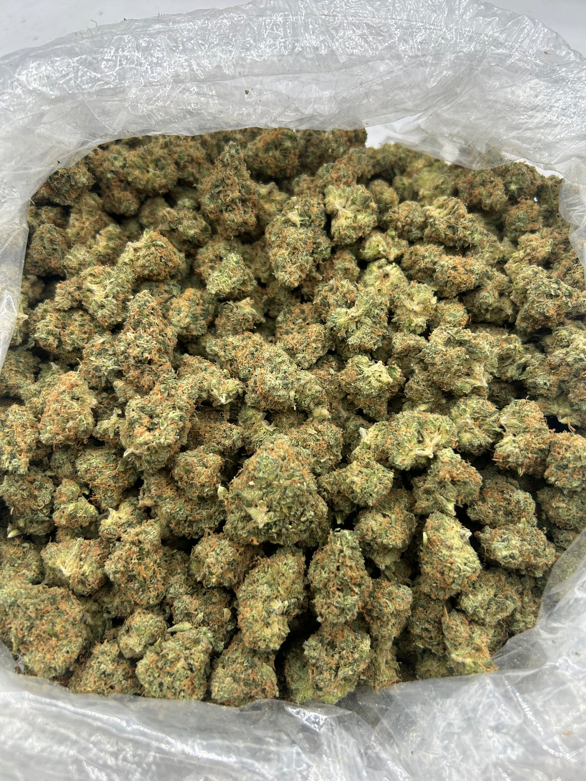 Mango Tango (Indoor Plus) supplier bag photo
