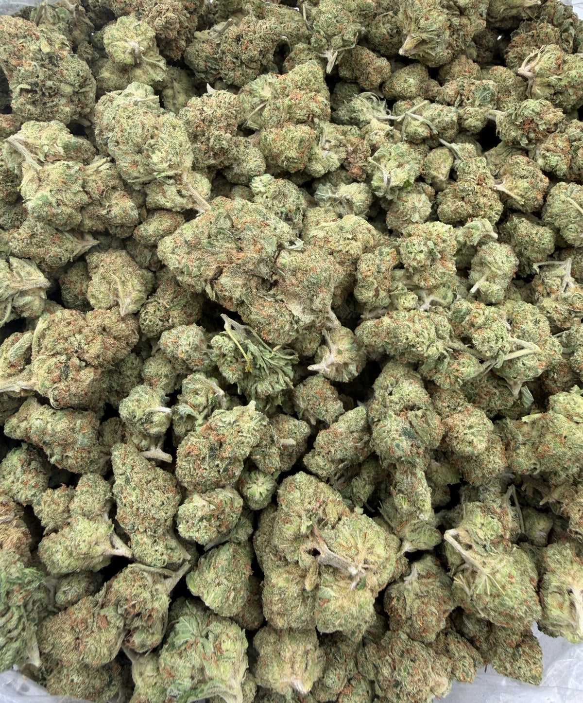 Alien OG bag photo