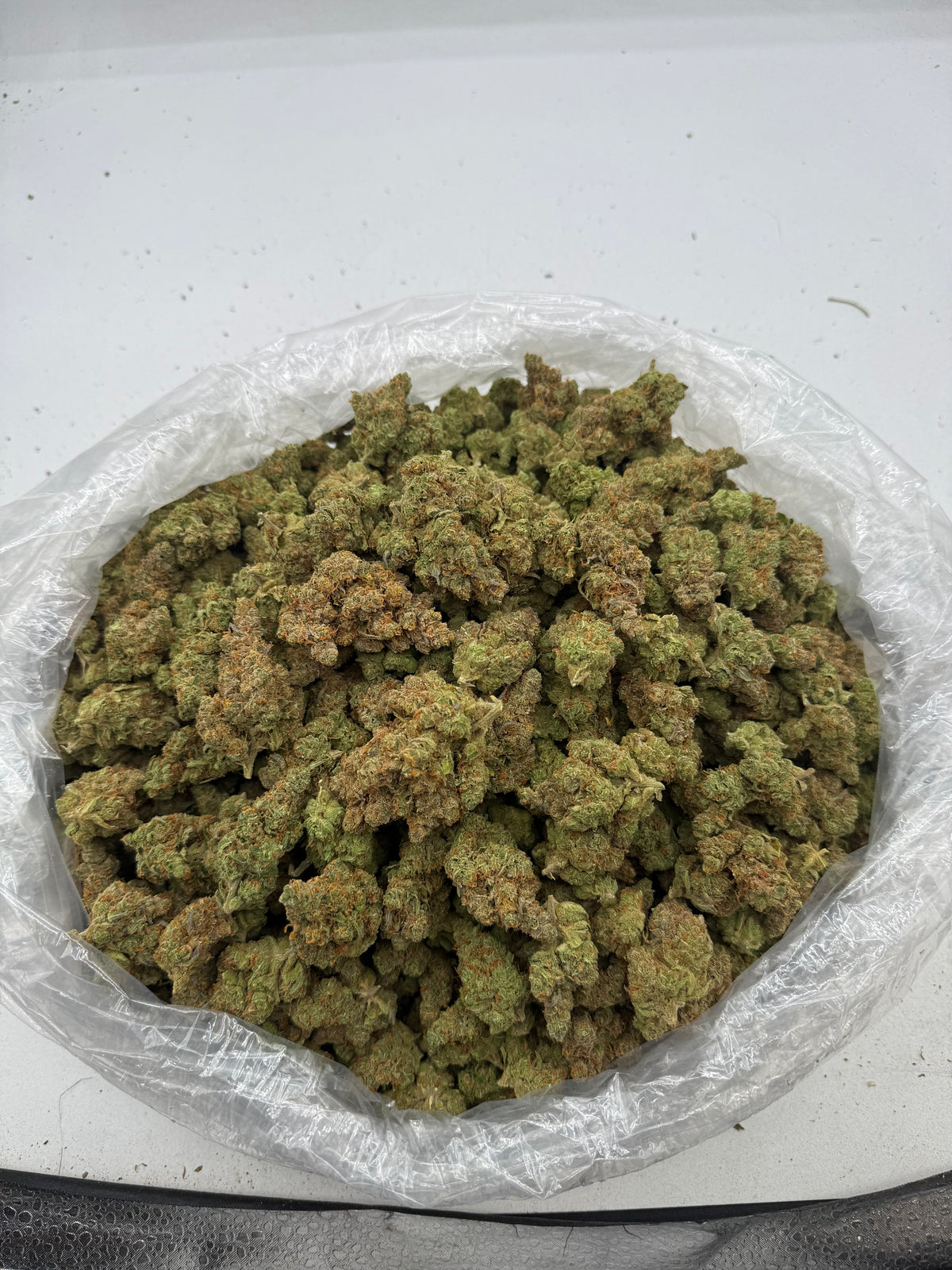 Silver Surfer (Indoor Plus) supplier bag photo