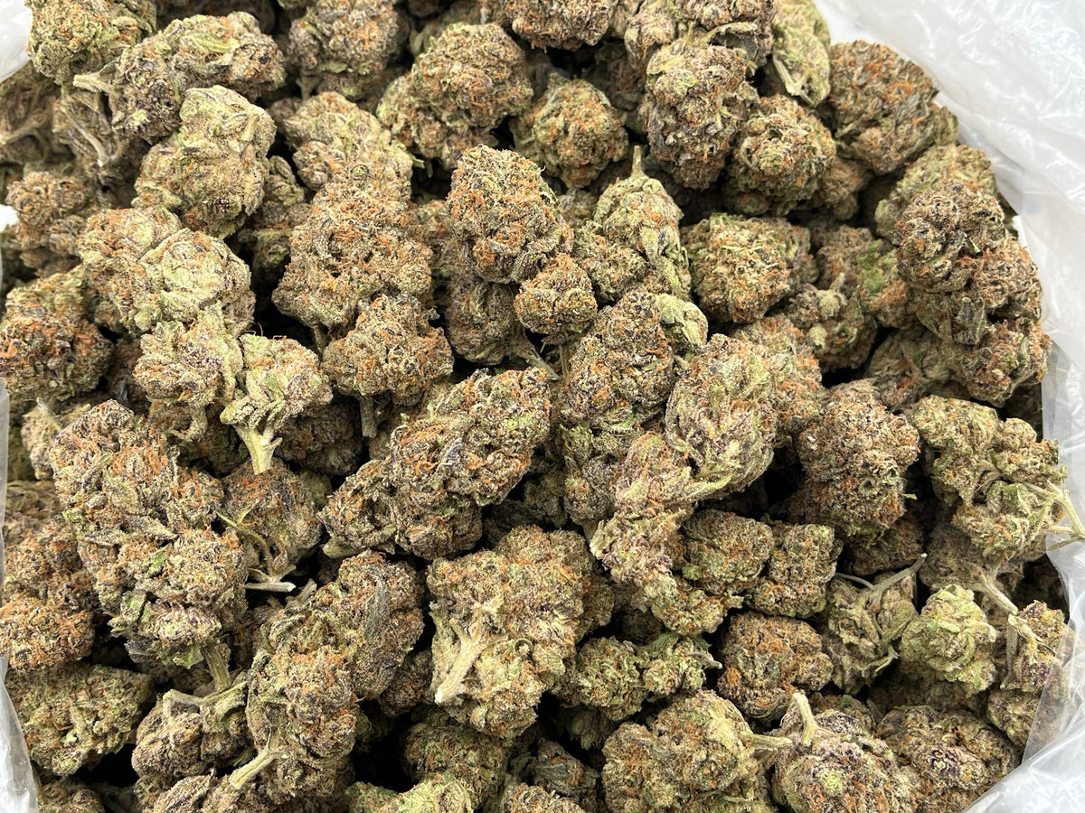 Grape Inferno (Indoor) supplier bag photo