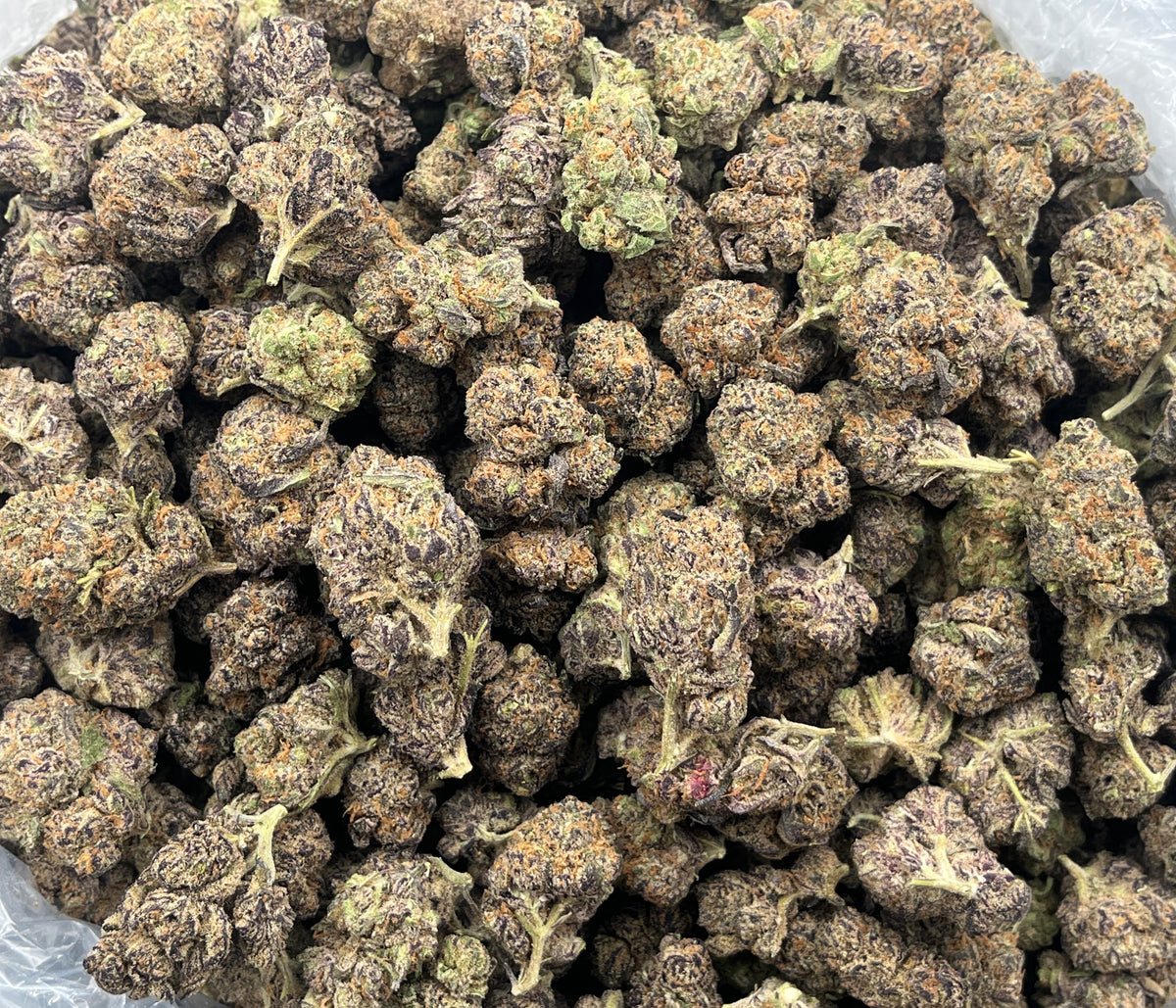 Blueberry Pancake (Indoor) bag photo