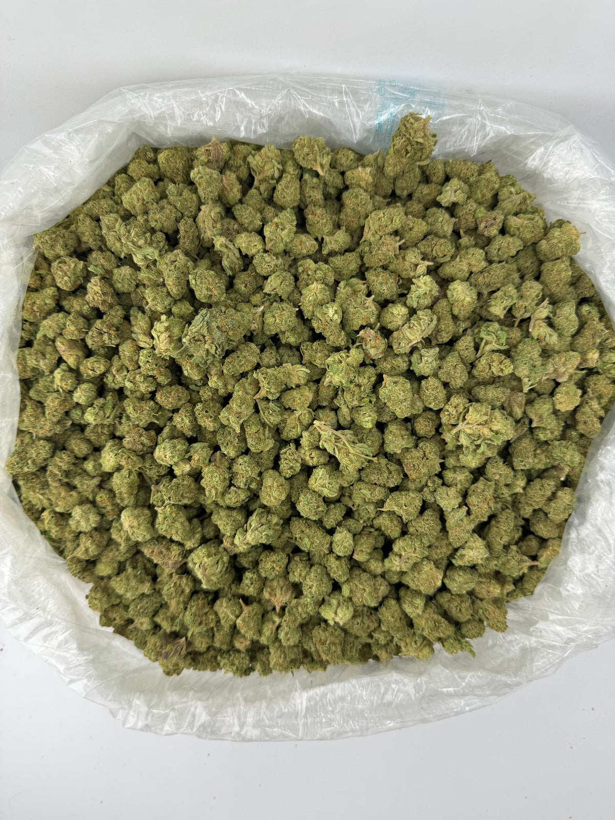 Gelato 42 (Smalls) bag photo