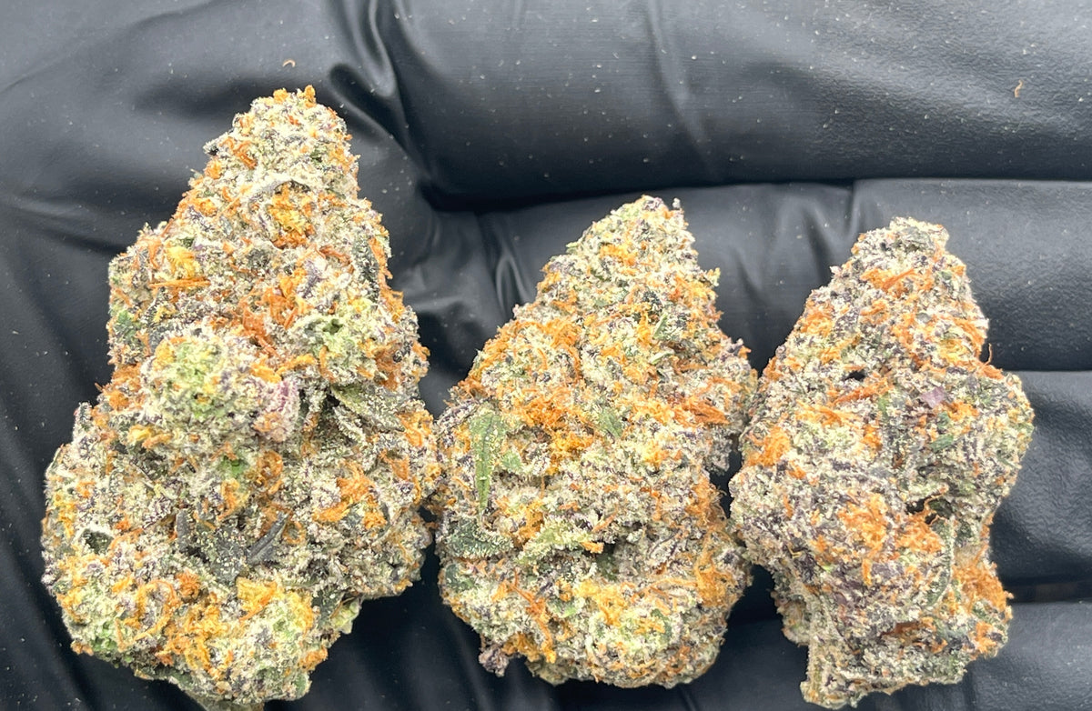 Dr Pepper (Exotic) flower photo