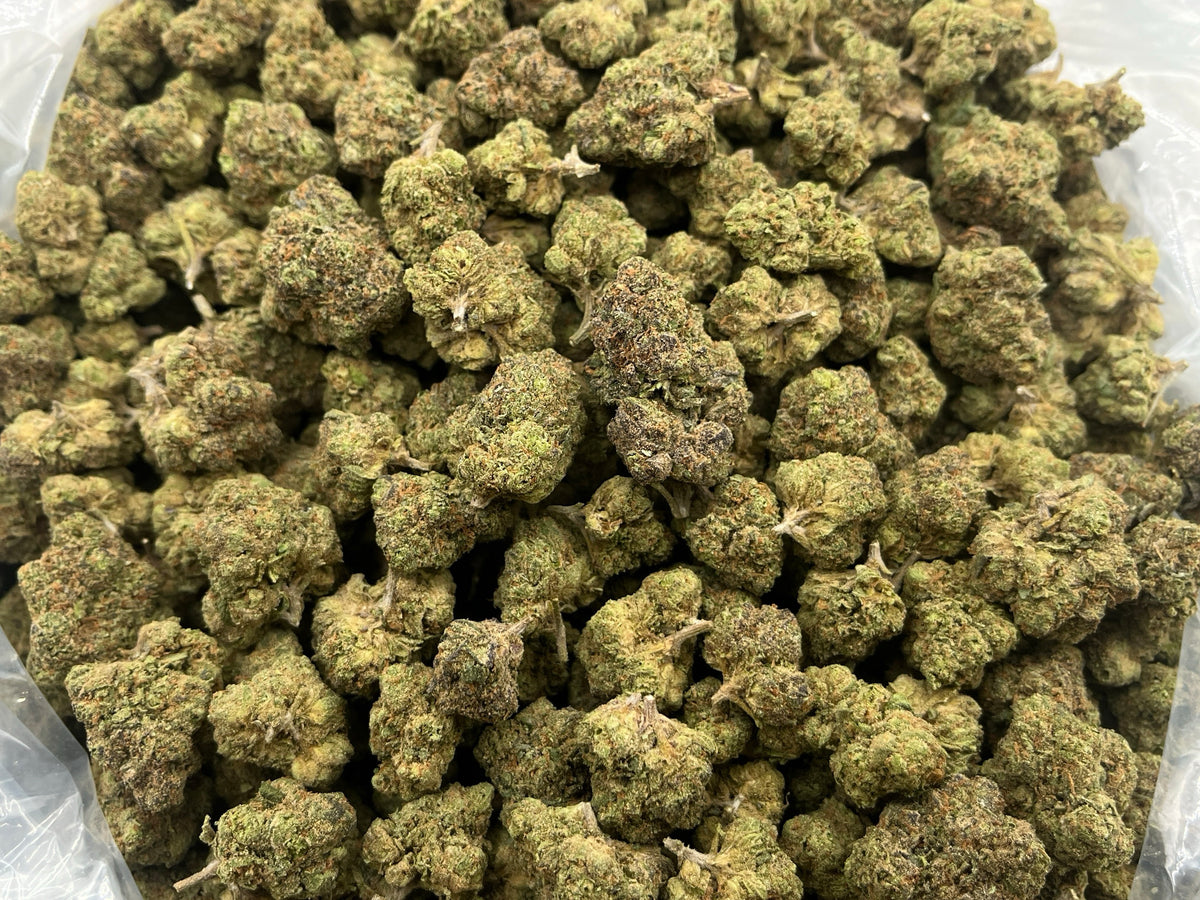 Candy Gas (Indoor) bag