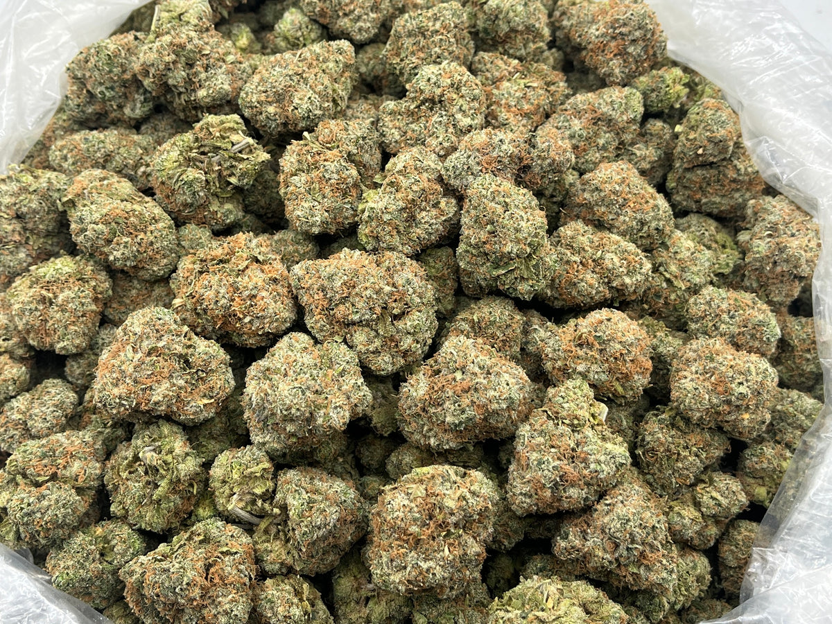 Sugar Crash (Indoor Plus) bag photo