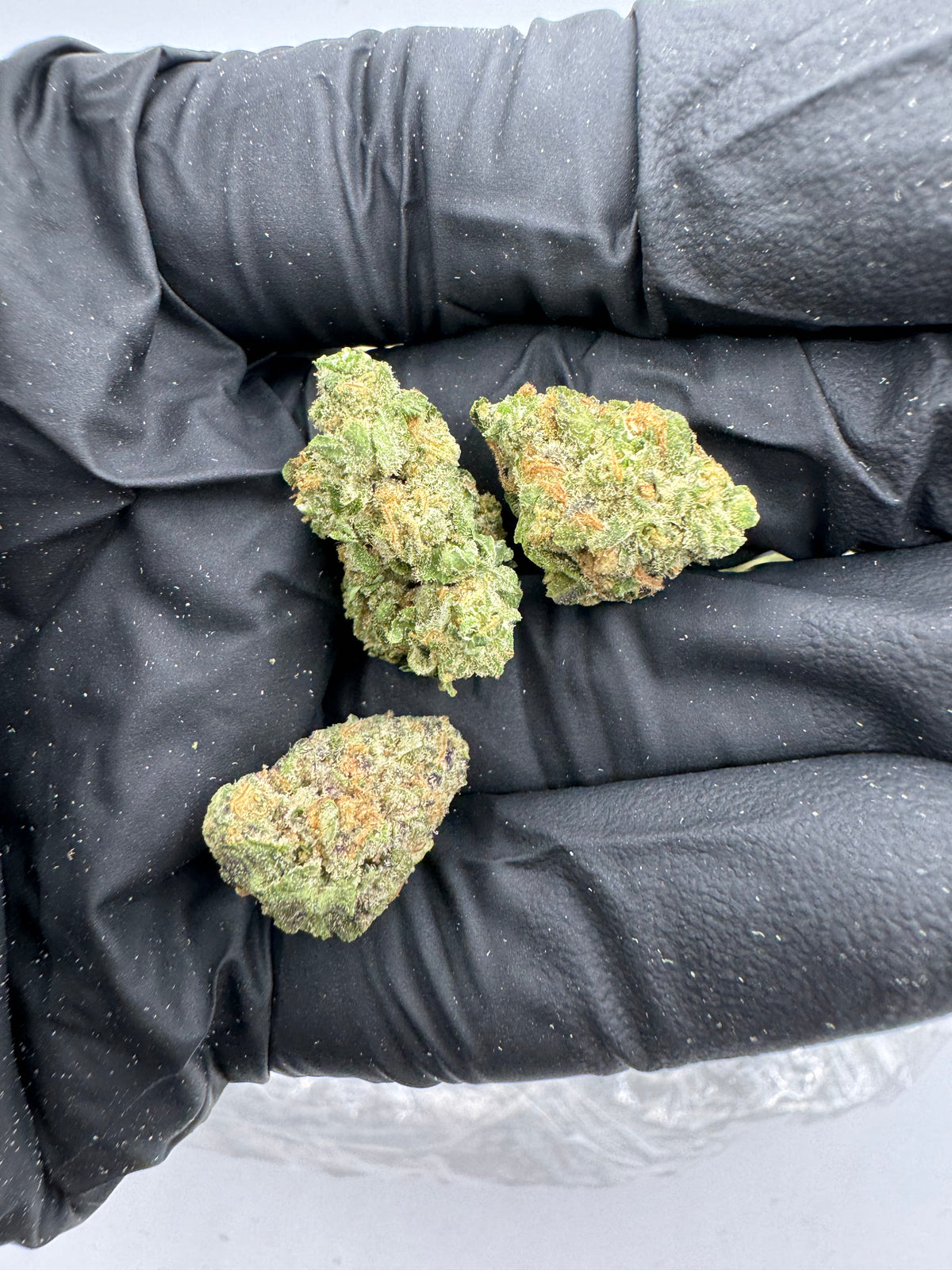 Peanut Butter Breath (Smalls) flower photo
